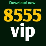 8555VIP Game