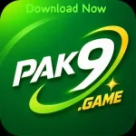 PAK9 Game