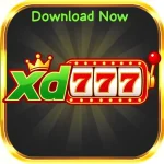 XD77